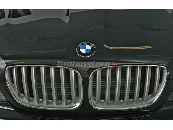 Решетки за BMW X5 E53 2004-2007 - силвър