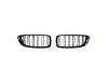 Решетки за BMW F32 / F33 / F36 2013-2020 - двойни