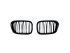 Решетки за BMW E39 1995-2003 - двойни гланц