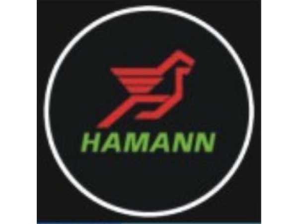 Лого проектор с емблемата на HAMANN с 5W диод