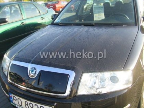 Зимен дефлектор за Skoda Superb I 2002-2006 - Heko