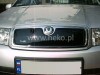 Зимен дефлектор за Skoda Fabia I 2000-2007 - Heko